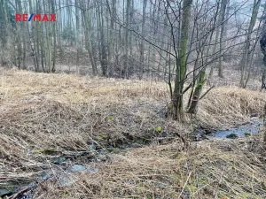 Prodej rybníku, Ondřejov, 8264 m2