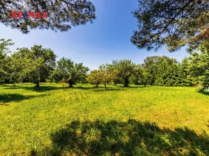 Prodej chalupy, Medový Újezd, 218 m2