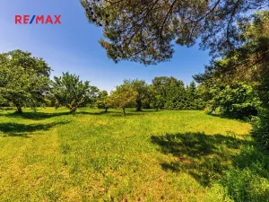 Prodej zemědělské usedlosti, Medový Újezd, 218 m2