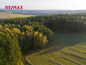 Prodej lesa, Všehrdy, 35057 m2