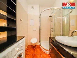 Pronájem bytu 1+kk, Plzeň - Jižní Předměstí, U Radbuzy, 29 m2