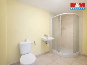 Pronájem garáže, Řehlovice - Hliňany, 81 m2