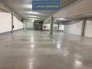 Pronájem obchodního prostoru, Praha - Horní Počernice, K Bílému vrchu, 4500 m2