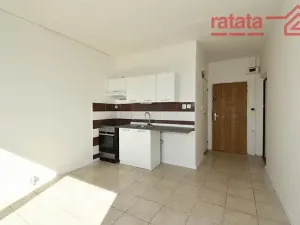 Pronájem bytu 1+1, Chomutov, Hutnická, 39 m2