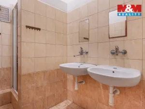 Pronájem obchodního prostoru, Plazy, 675 m2