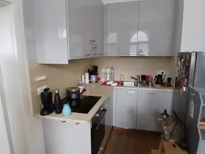 Prodej bytu 2+kk, Praha - Karlín, Pobřežní, 52 m2