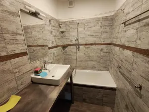 Prodej rodinného domu, Prostějov, Dr. Horáka, 300 m2