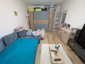 Prodej bytu 2+1, Chomutov, Vrchlického, 55 m2