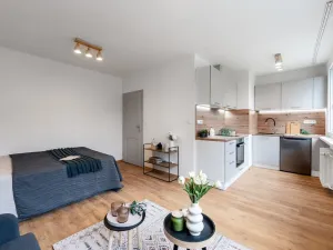 Pronájem bytu 1+kk, Most, Moskevská, 26 m2