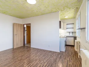 Pronájem bytu 1+kk, Mladá Boleslav, Zalužanská, 25 m2