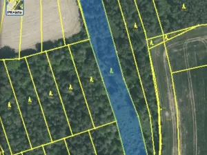 Prodej lesa, Blížejov - Lštění, 4624 m2