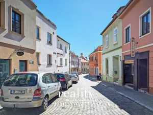 Prodej rodinného domu, Znojmo, Dolní Česká, 429 m2