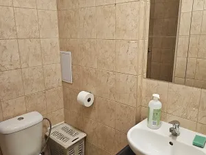 Pronájem bytu 1+kk, Kladno, Čermákova, 30 m2