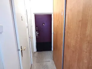 Prodej bytu 1+kk, Praha - Záběhlice, Narcisová, 25 m2