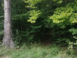 Prodej pozemku pro bydlení, Hradištko, Na Vrcholu, 1486 m2