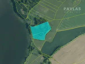 Prodej lesa, Jindřichův Hradec, 32504 m2