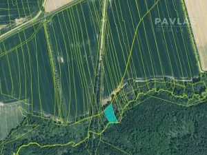 Prodej lesa, Jetětice, 103270 m2