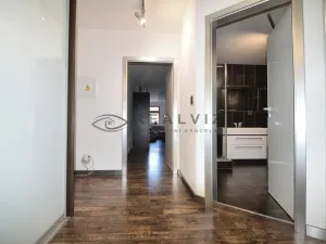 Pronájem bytu 3+kk, České Budějovice, Plachého, 90 m2