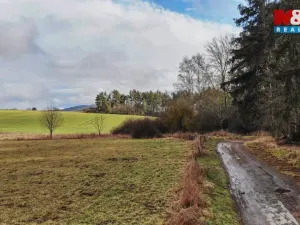 Prodej chaty, Stříbro, 25 m2