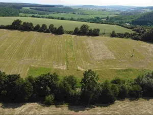 Dražba pole, Dobrkovice, 30944 m2