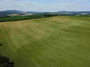 Dražba pole, Dobrkovice, 30944 m2