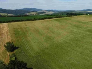 Dražba pole, Dobrkovice, 30944 m2