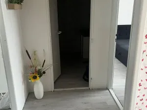 Pronájem bytu 3+1, Most, K. H. Borovského, 55 m2