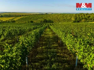 Prodej pole, Šardice, 56699 m2