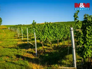 Prodej pole, Šardice, 56699 m2