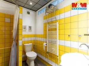 Prodej rodinného domu, Slavkov u Brna, Čelakovského, 173 m2