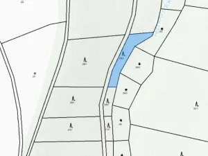 Prodej lesa, Řepníky, 562 m2