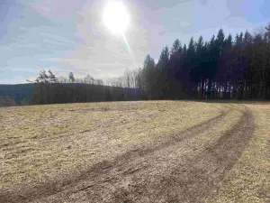 Prodej pole, Kraslice, 3869 m2