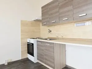 Pronájem bytu 1+1, Chomutov, Borová, 36 m2