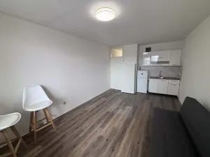 Pronájem bytu 1+kk, Ostrava - Moravská Ostrava, U Parku, 25 m2