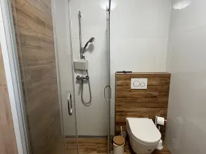 Pronájem bytu 1+kk, Olomouc, Andělská, 40 m2