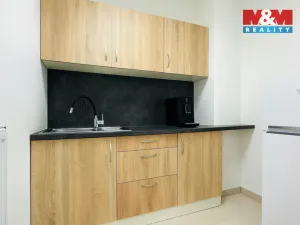 Prodej kanceláře, Klecany, V Honech, 179 m2