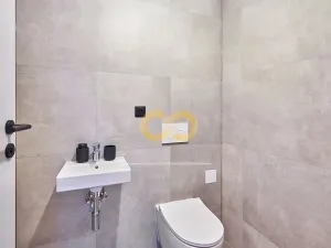 Pronájem rodinného domu, Chotyně, 194 m2