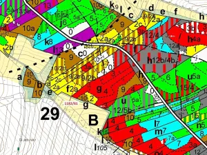 Dražba lesa, Přeborov, 11119 m2