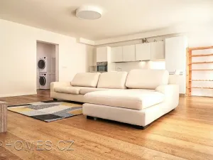 Pronájem bytu 3+kk, Praha - Vinohrady, Mánesova, 106 m2