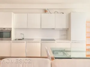 Pronájem bytu 3+kk, Praha - Vinohrady, Mánesova, 106 m2