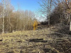 Prodej zahrady, Hostinné, 1147 m2