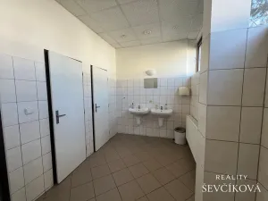 Pronájem kanceláře, Hradec Králové, Ječná, 18 m2