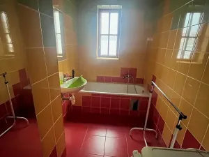 Prodej vícegeneračního domu, Teplice, Skupova, 600 m2