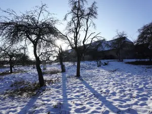 Prodej zemědělské usedlosti, Bukovník, 167 m2