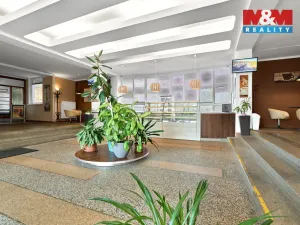 Pronájem obchodního prostoru, Ostrov, Lidická, 120 m2