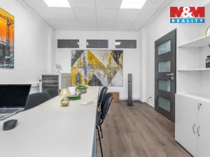 Pronájem kanceláře, Ústí nad Labem, Havířská, 157 m2