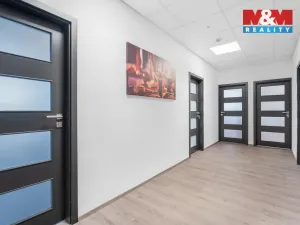 Pronájem kanceláře, Ústí nad Labem, Havířská, 157 m2