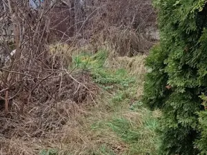 Prodej pozemku pro bydlení, Uherský Brod, Dolní Valy, 180 m2