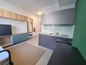 Pronájem bytu 1+kk, Brno, Dominikánské náměstí, 20 m2