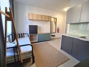 Pronájem bytu 1+kk, Brno, Dominikánské náměstí, 20 m2